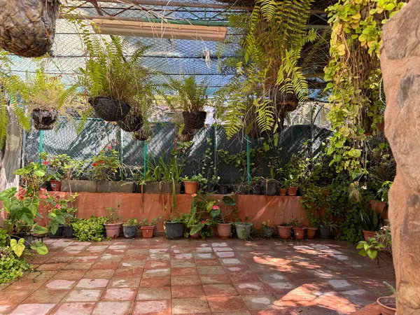 Finca rústica en Calle Ciudad De Lima, 10, San Bartolomé Interior, San Bartolomé Interior - Foto 11