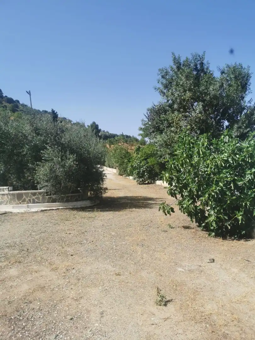 Finca rústica en  Plaza Llanete de Arriba 2 - Foto 4