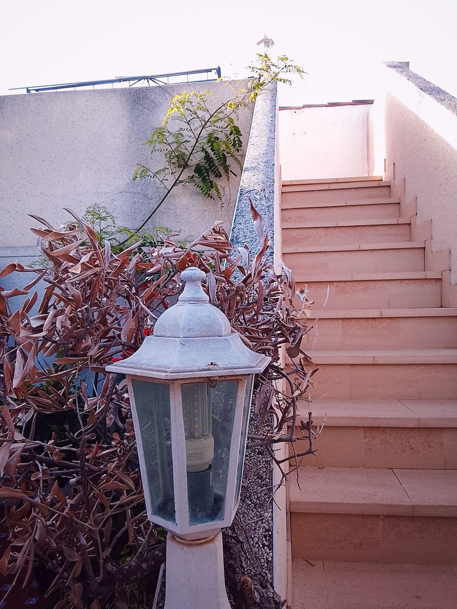 Chalet adosado en Calle Cinabrio, 6, Benimar, Benimar - Foto 31