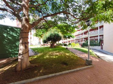 Ático en  Calle Concejal García Feo 8 - Foto 43