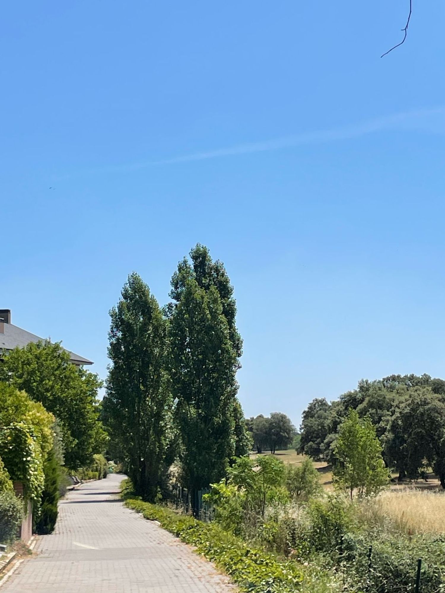 Piso en Calle Isaac Albéniz, 87, Golf - El Carralero - Foto 19