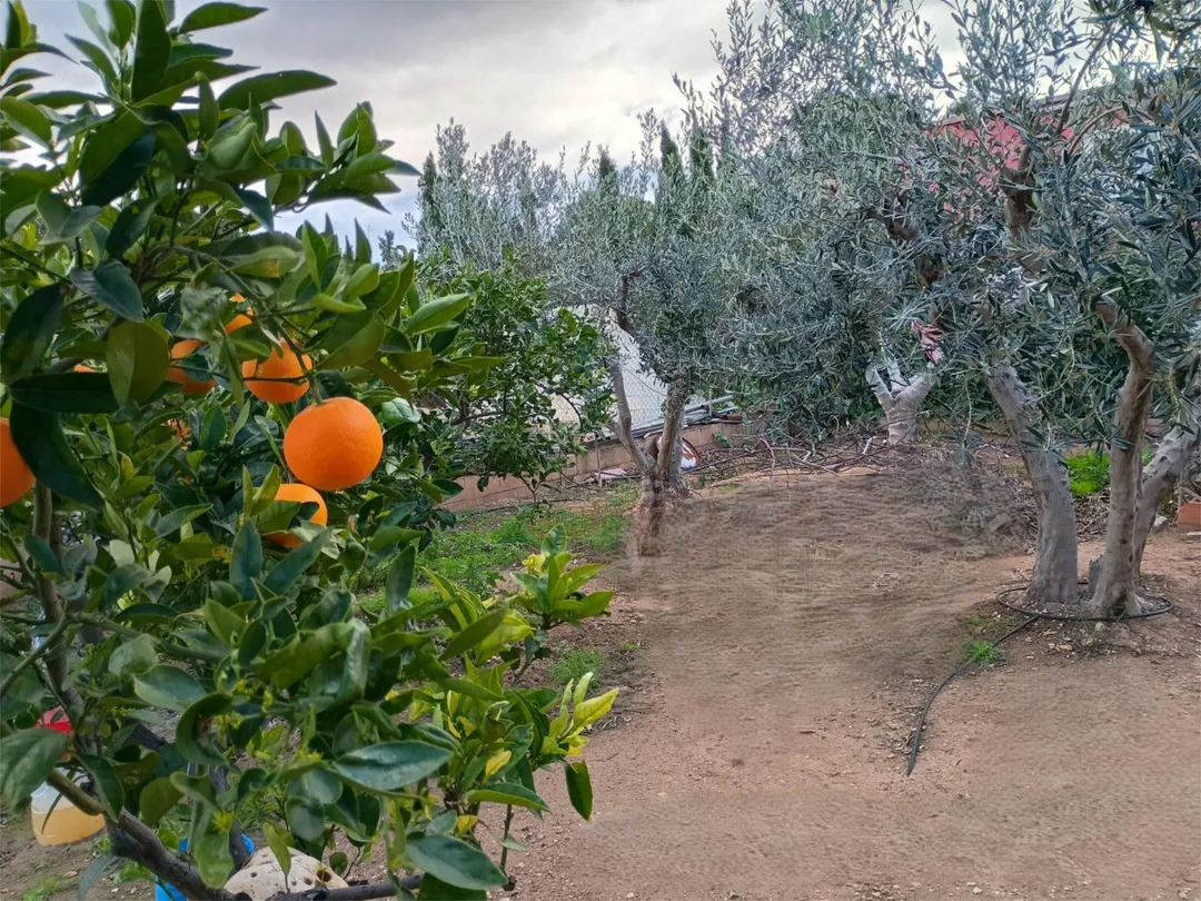 Chalet en  Carrer de la Vivianita 709 - Foto 31