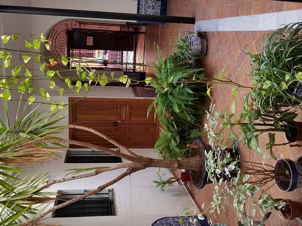 Piso en calle Pureza, 92 - Foto 4