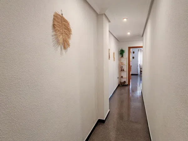 Piso en avenida Dama d\'Elx, 18 - Foto 12