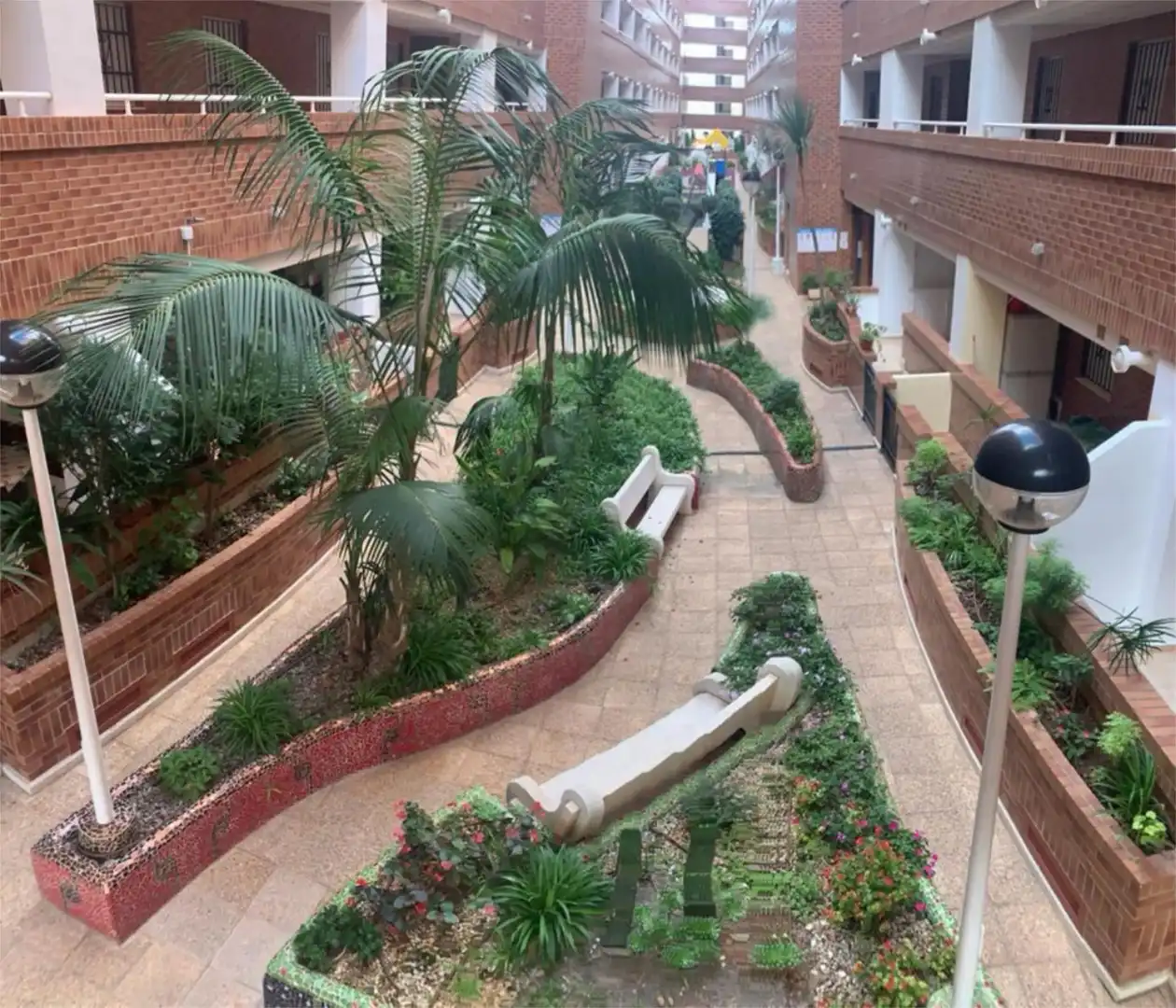 Piso en  Carrer de la Pinada 18 - Foto 3