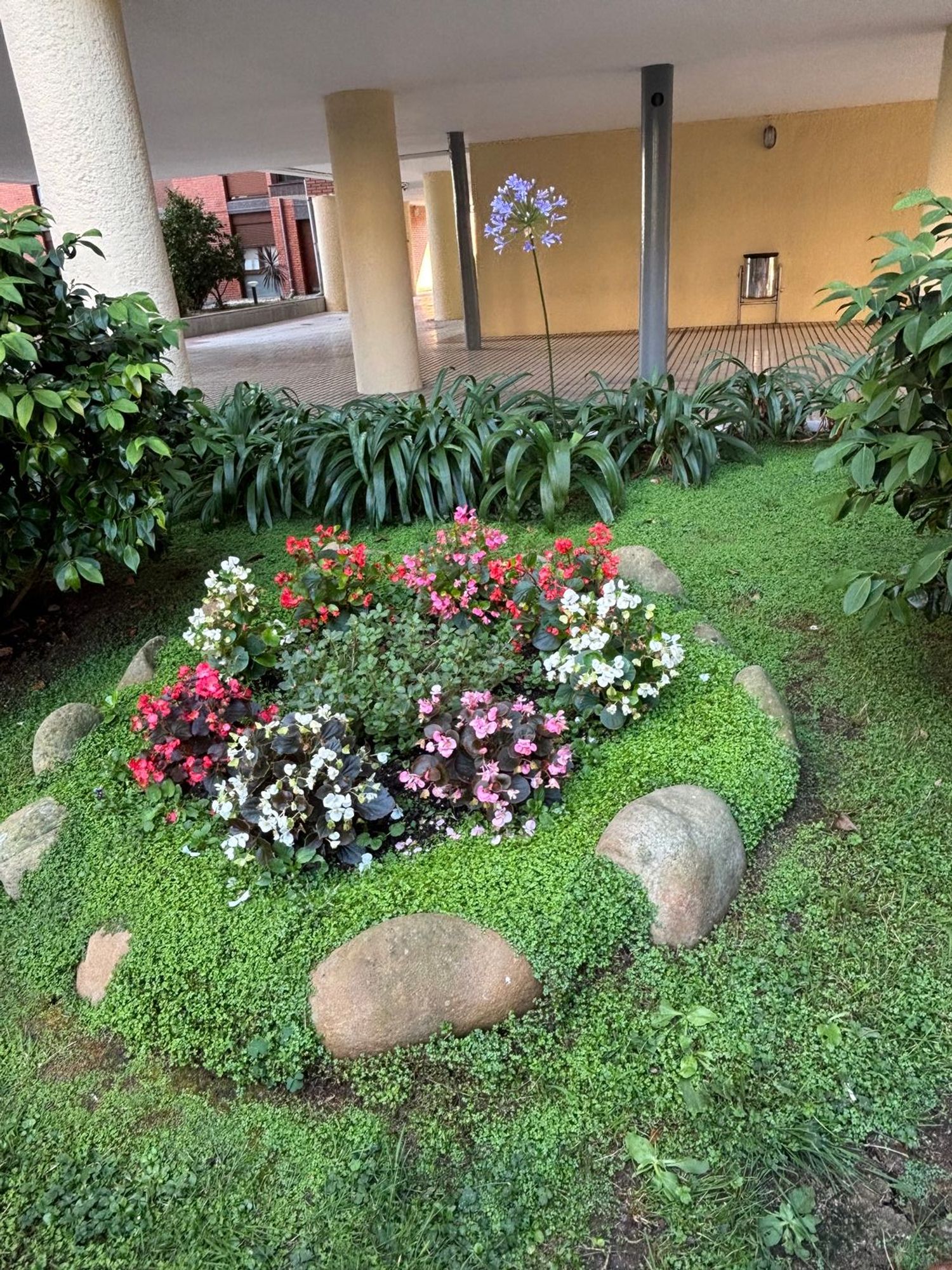 Piso en Calle Ibâibide, 32, Santa Ana - Foto 2