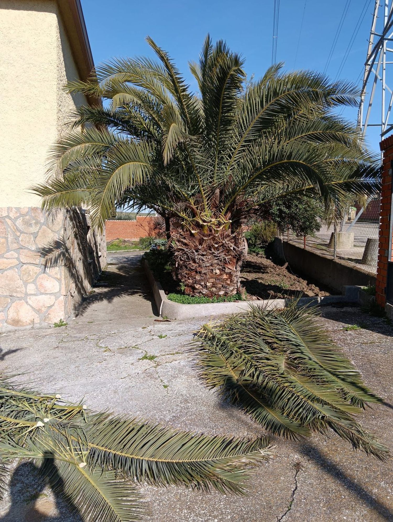 Casa o chalet independiente en El Viso de San Juan - Foto 18