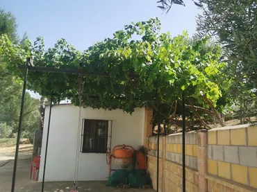Finca rústica en  Plaza Llanete de Arriba 2 - Foto 6