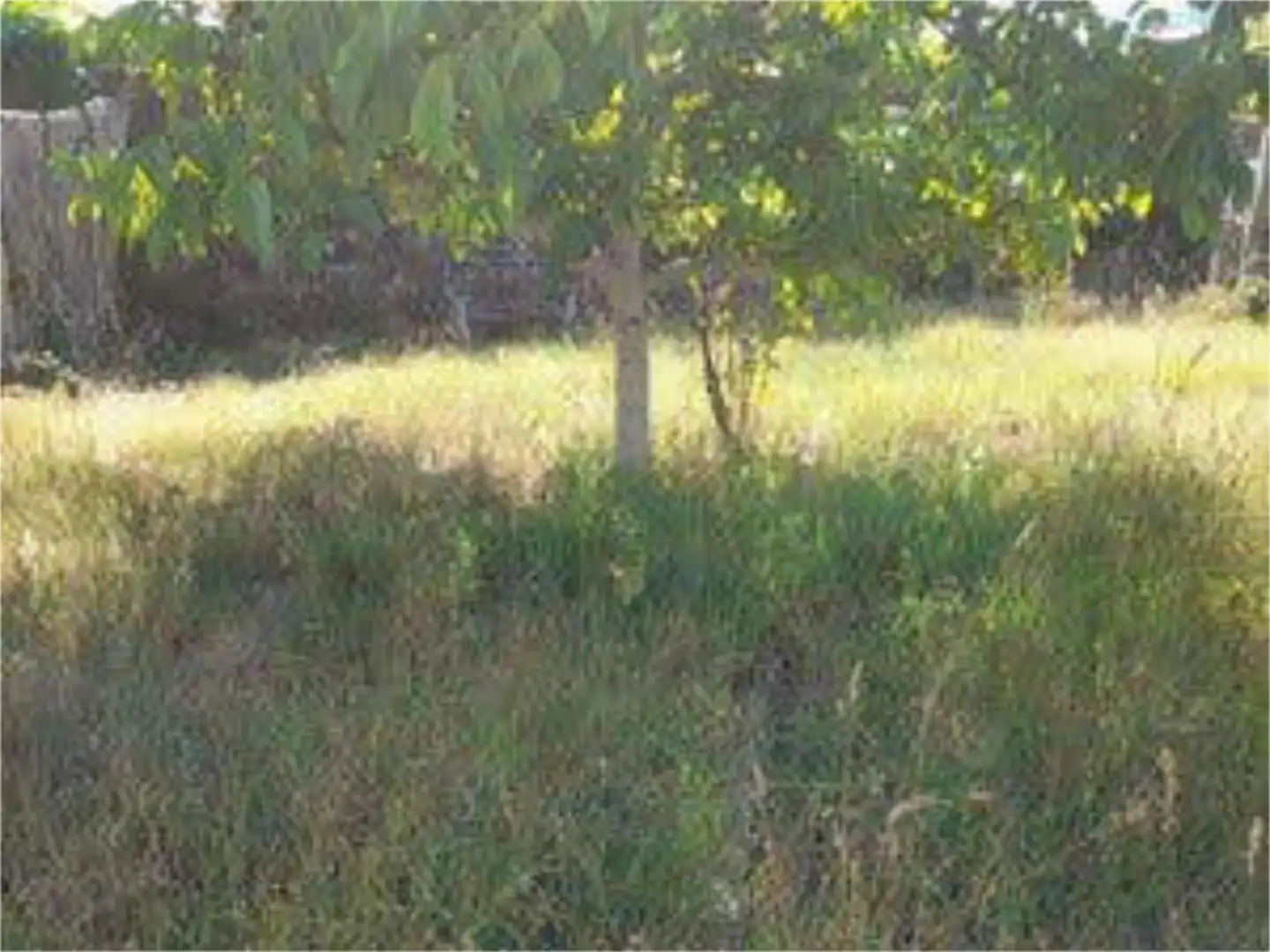Chalet en ayuntamiento - Foto 7