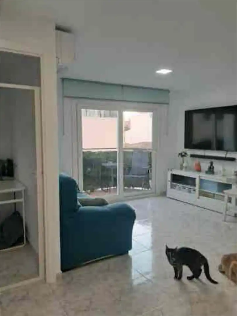 Piso en Palma - Foto 5