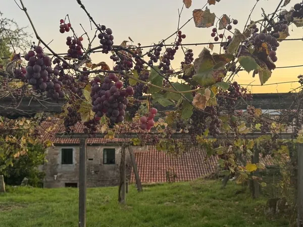 Casa rural en calle Ventosa, 22 - Foto 11