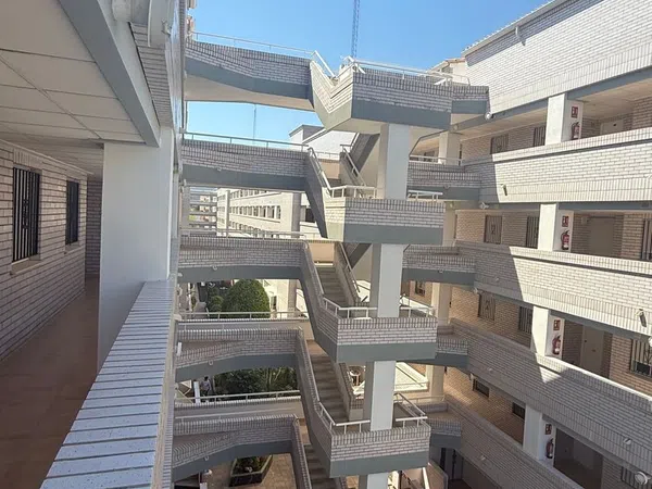 Piso en Avenida Central, 12, Marina Trebol - Neptuno - Foto 3