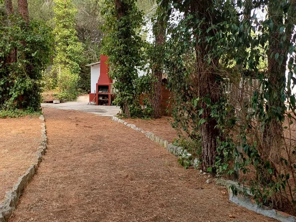 Casa o chalet independiente en Calle del Pinar, 114 - Foto 6