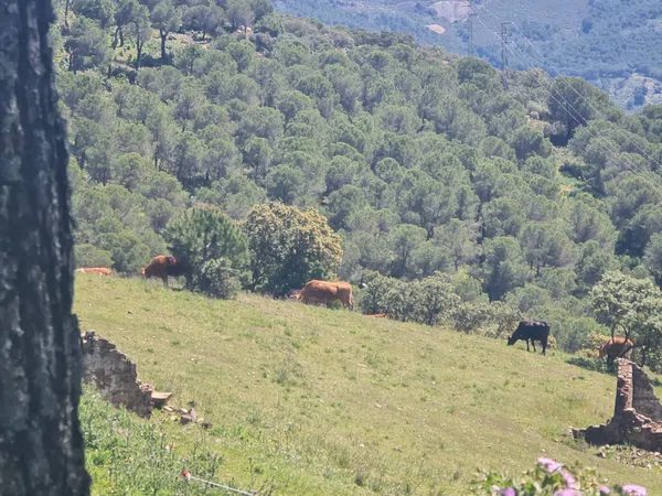 Casa rural en venta en Calle la Purisima, 28 - Foto 4