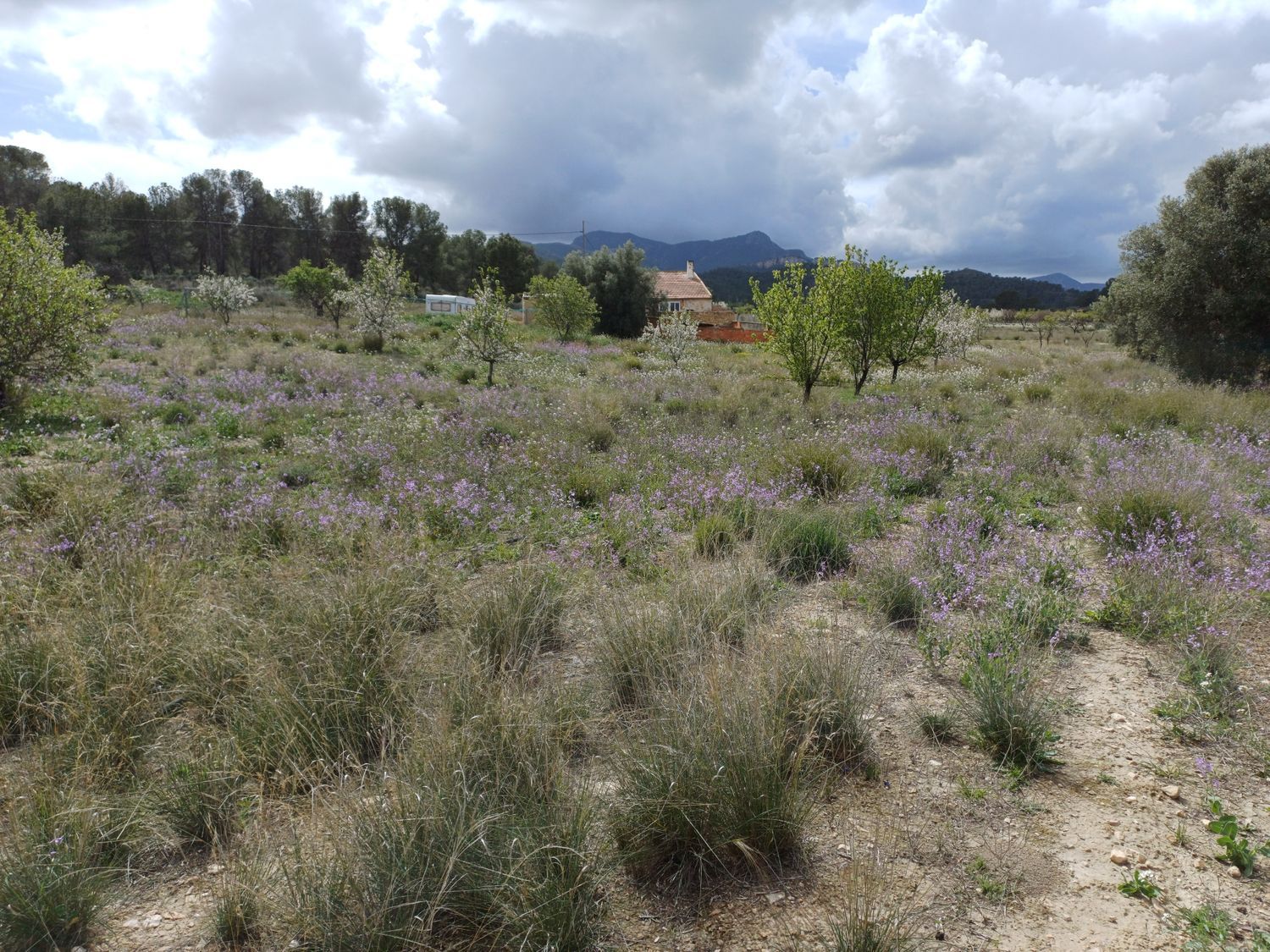 Casa independiente en Sierra de la Pila, 3 - Foto 15
