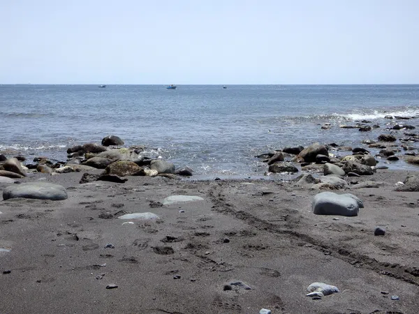 Casa independiente en paseo de la playa, 4 - Foto 24