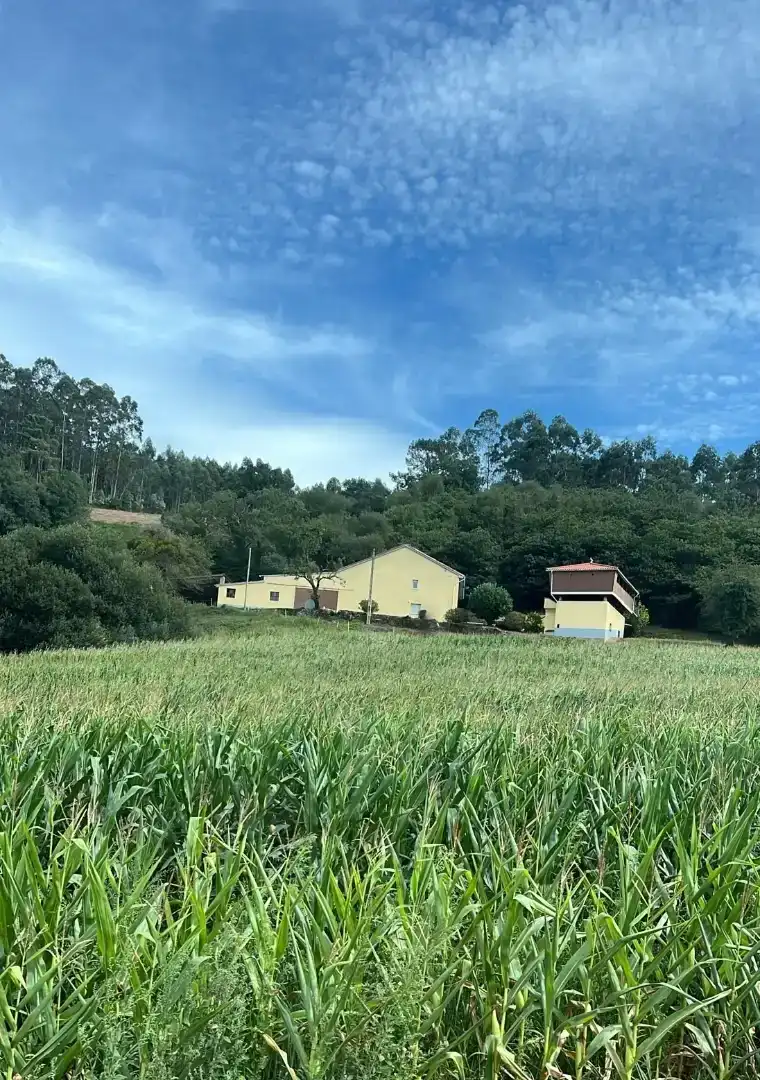 Finca rústica en - Foto 4