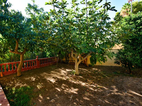 Casa o chalet independiente en Avenida del Tomillar, 47, Montealto, Montealto - Foto 6