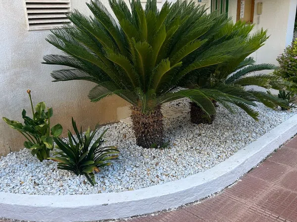 Piso en Calle Camp de Morvedre, 8, Playa de Gandia, Playa de Gandia - Foto 16