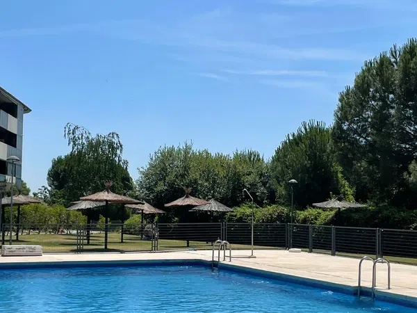 Piso en Calle Isaac Albéniz, 87, Golf - El Carralero - Foto 15