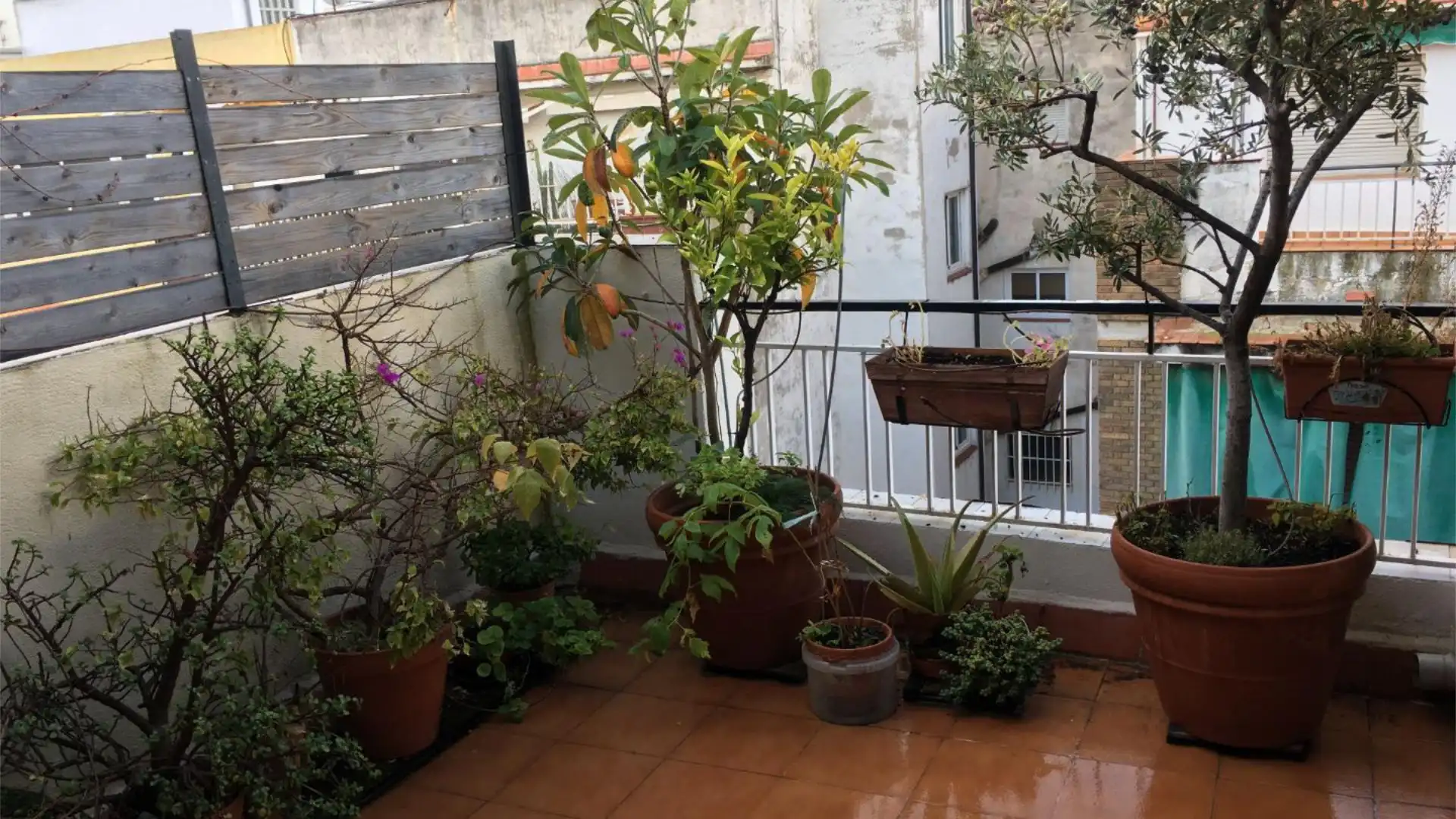 Ático en  Carrer de la Providència 31 - Foto 1