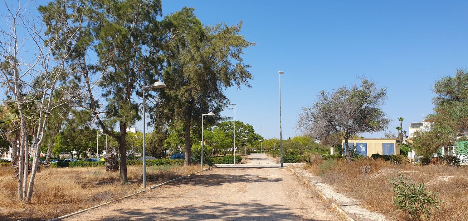 Ático en Calle Albaricoquero, 678 - Foto 28