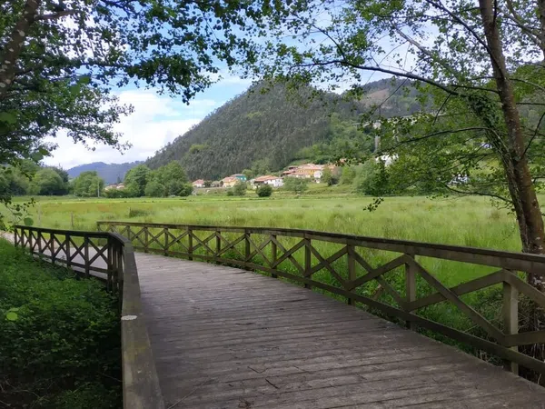 Casa rural en Carretera de Pramaro, 29 - Foto 14