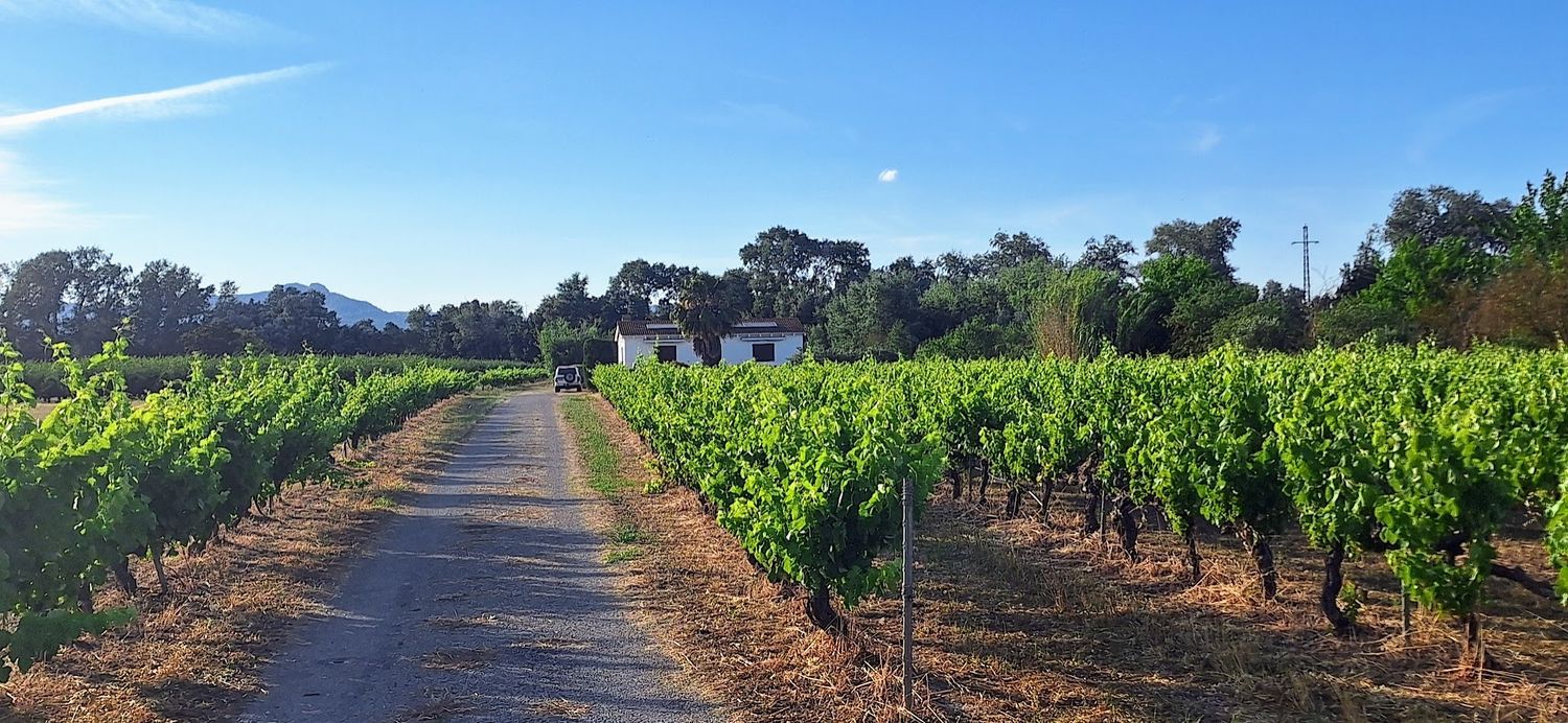 Finca rústica en Unnamed Road s/n - Foto 34