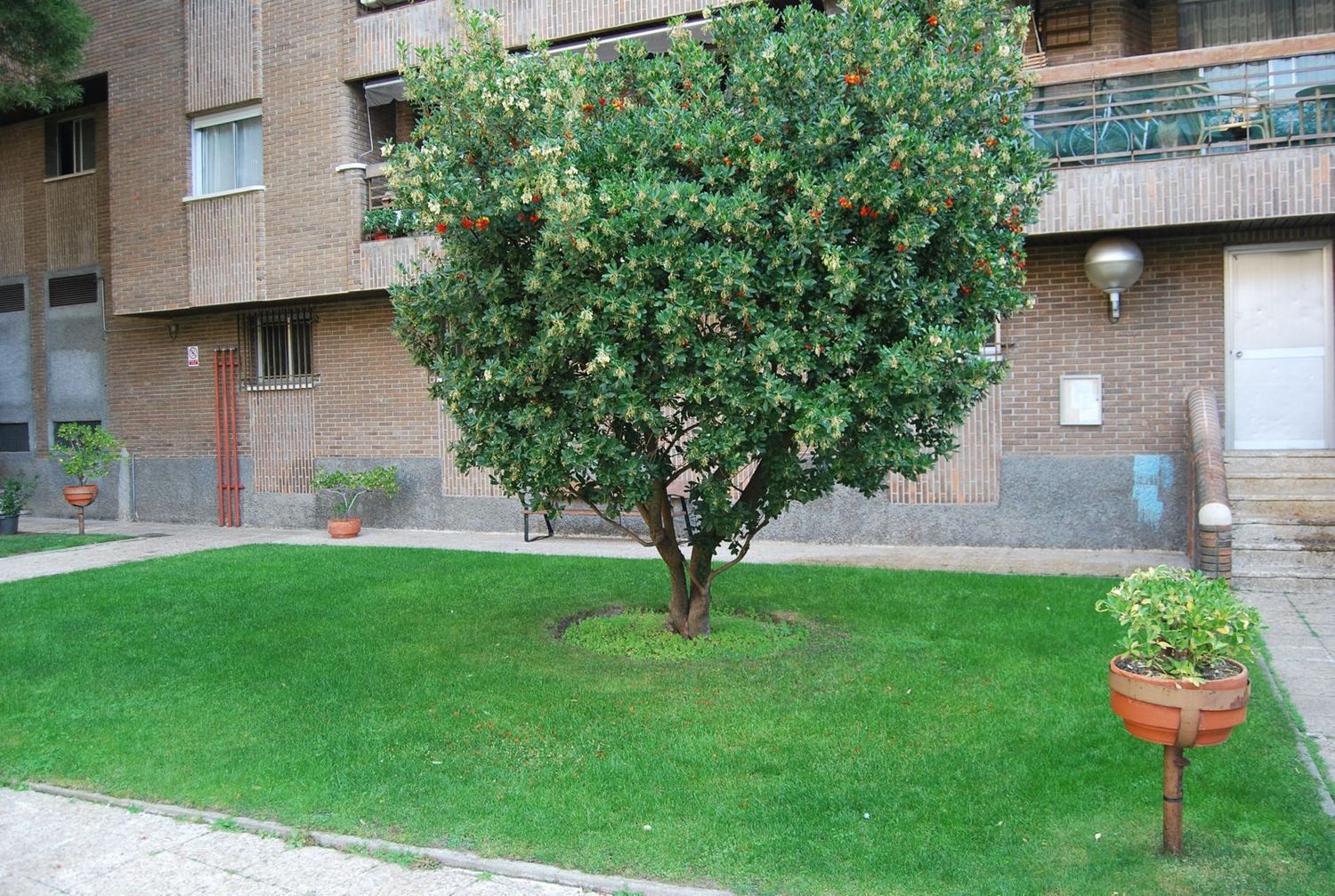 Piso en Calle Real, 53, Alto de la Jabonería - Foto 15