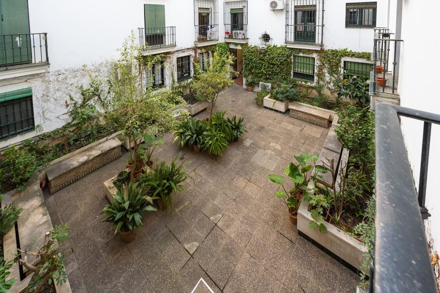 Piso en San Roque, 10 - Foto 12