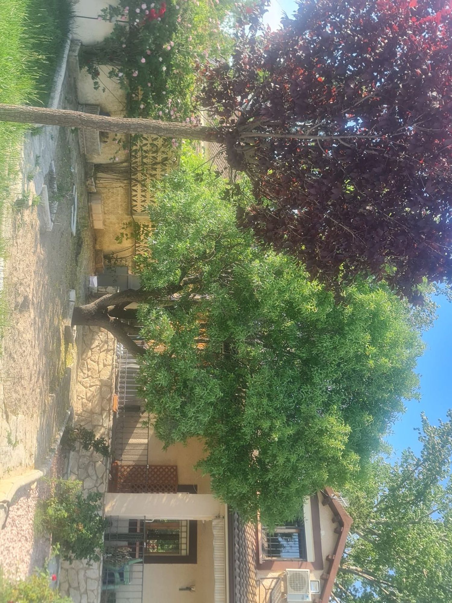 Finca rústica en Camino de la Vega, 10 - Foto 2