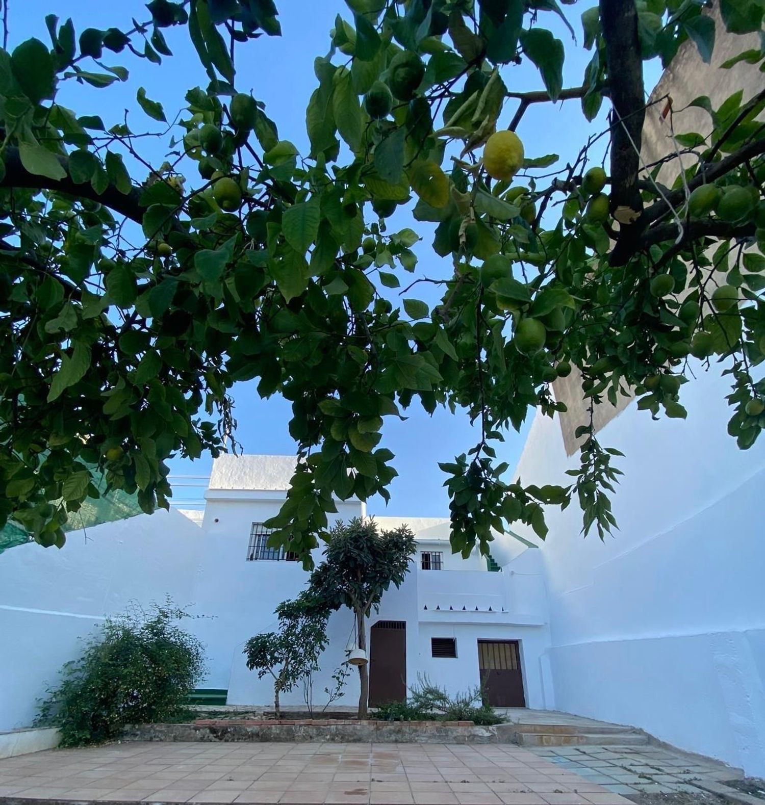 Casa o chalet independiente en Calle Concepción Soto, 128, Las Pajanosas, Las Pajanosas - Foto 4