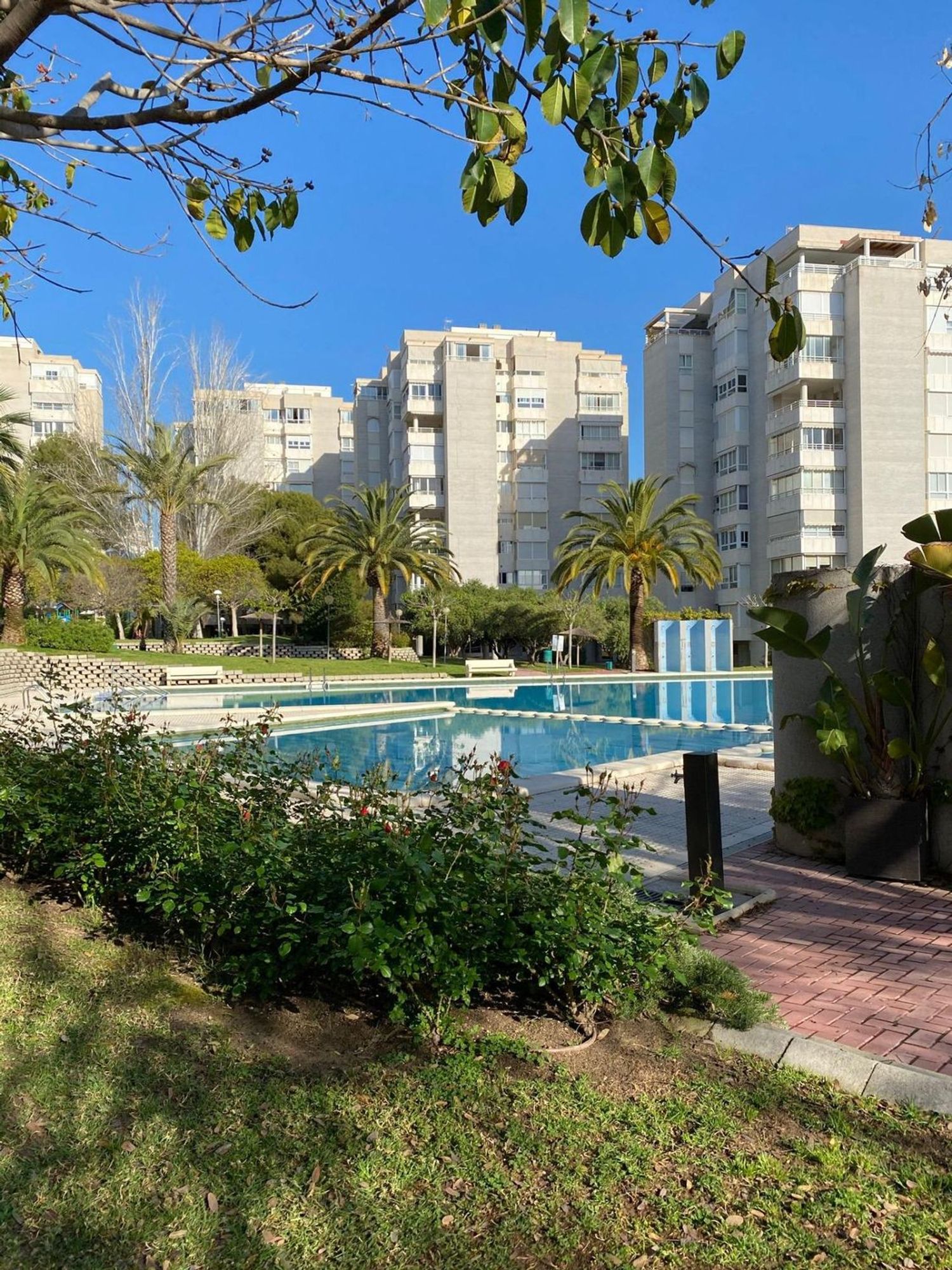 Piso en Avenida de la Costa Blanca, Cabo de las Huertas - Foto 2