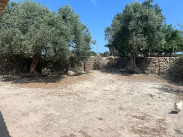 Finca rústica en - Foto 2