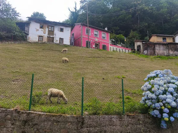 Chalet pareado en Lugar Omedines, 46, Sama, Sama - Foto 28