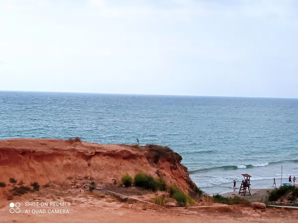 Piso en Calle Teodoro Llorente, 16, Campoamor - Foto 33