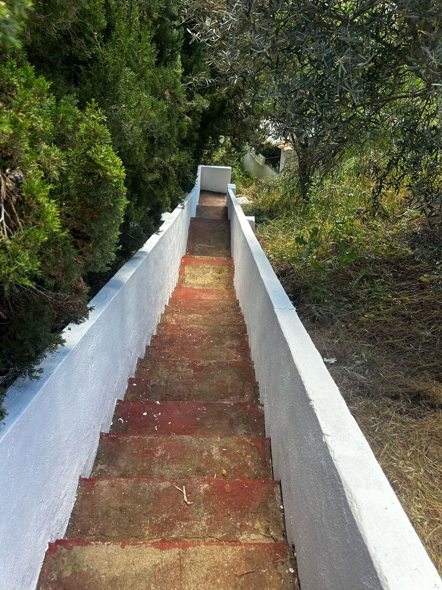 Casa o chalet independiente en El Romeral-Peñón de Zapata, El Romeral-Peñón de Zapata - Foto 27