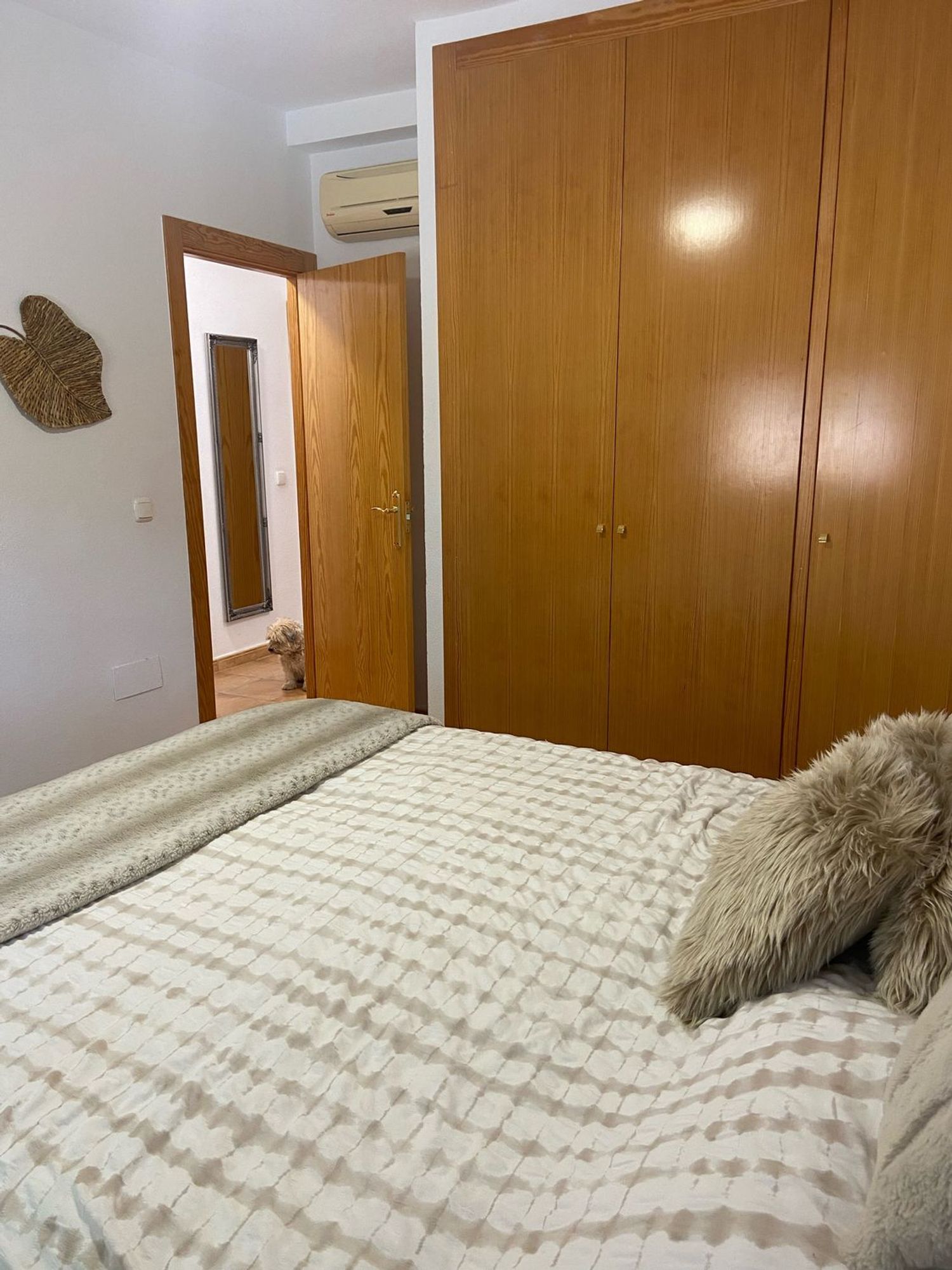 Casa independiente en paseo Pedro Cano, 20 - Foto 30