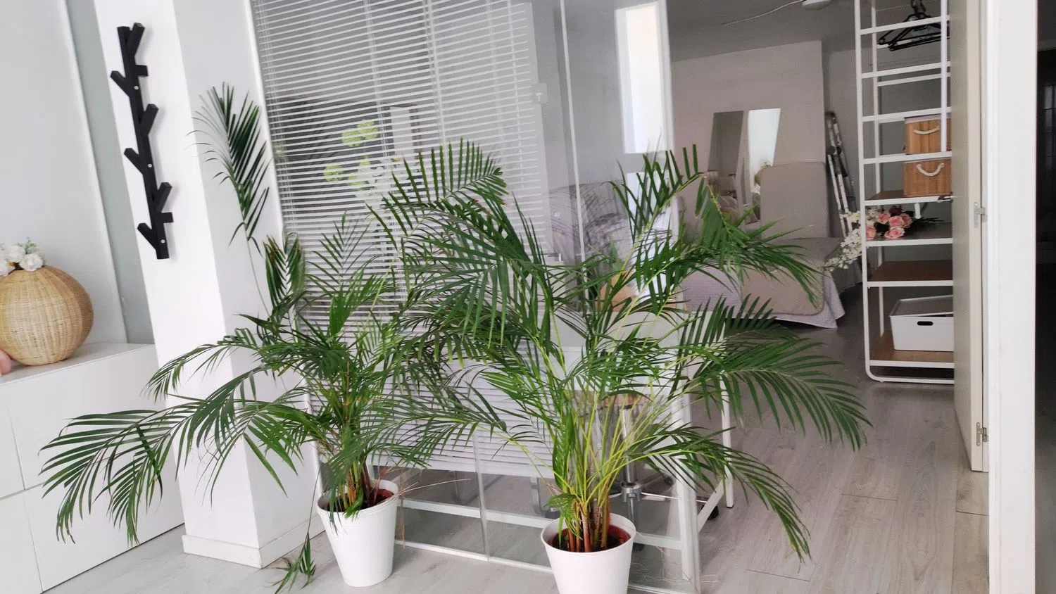 Estudio en Baixada de la Plana, 9 - Foto 11