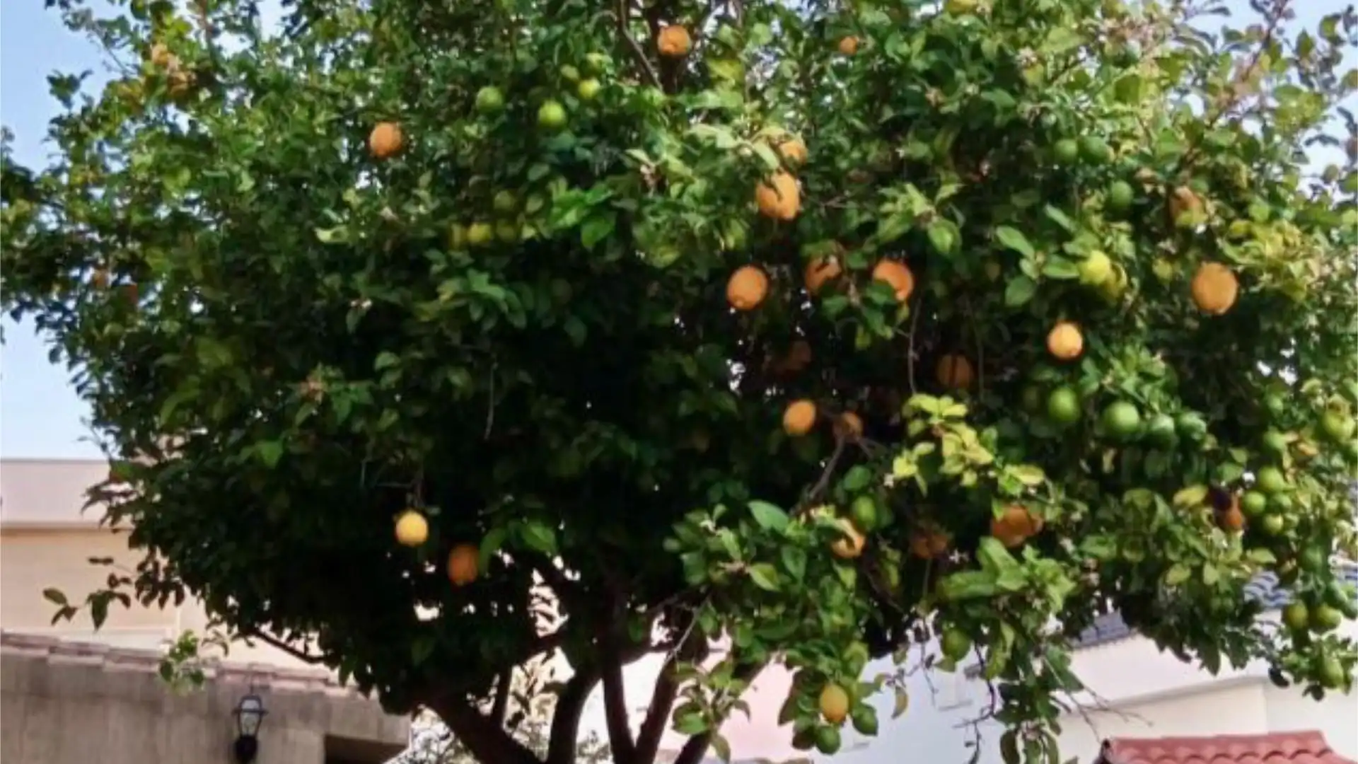 Chalet en  Carretera Madrid-Cádiz 24D - Foto 7