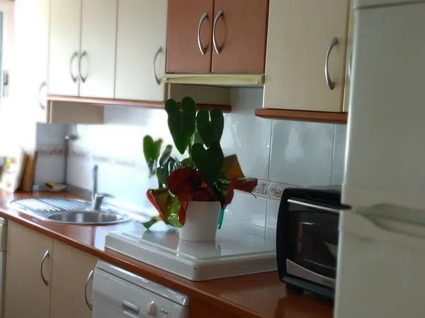 Piso en Calle Azucarera, 1, Paseo Marítimo de Levante - Foto 8