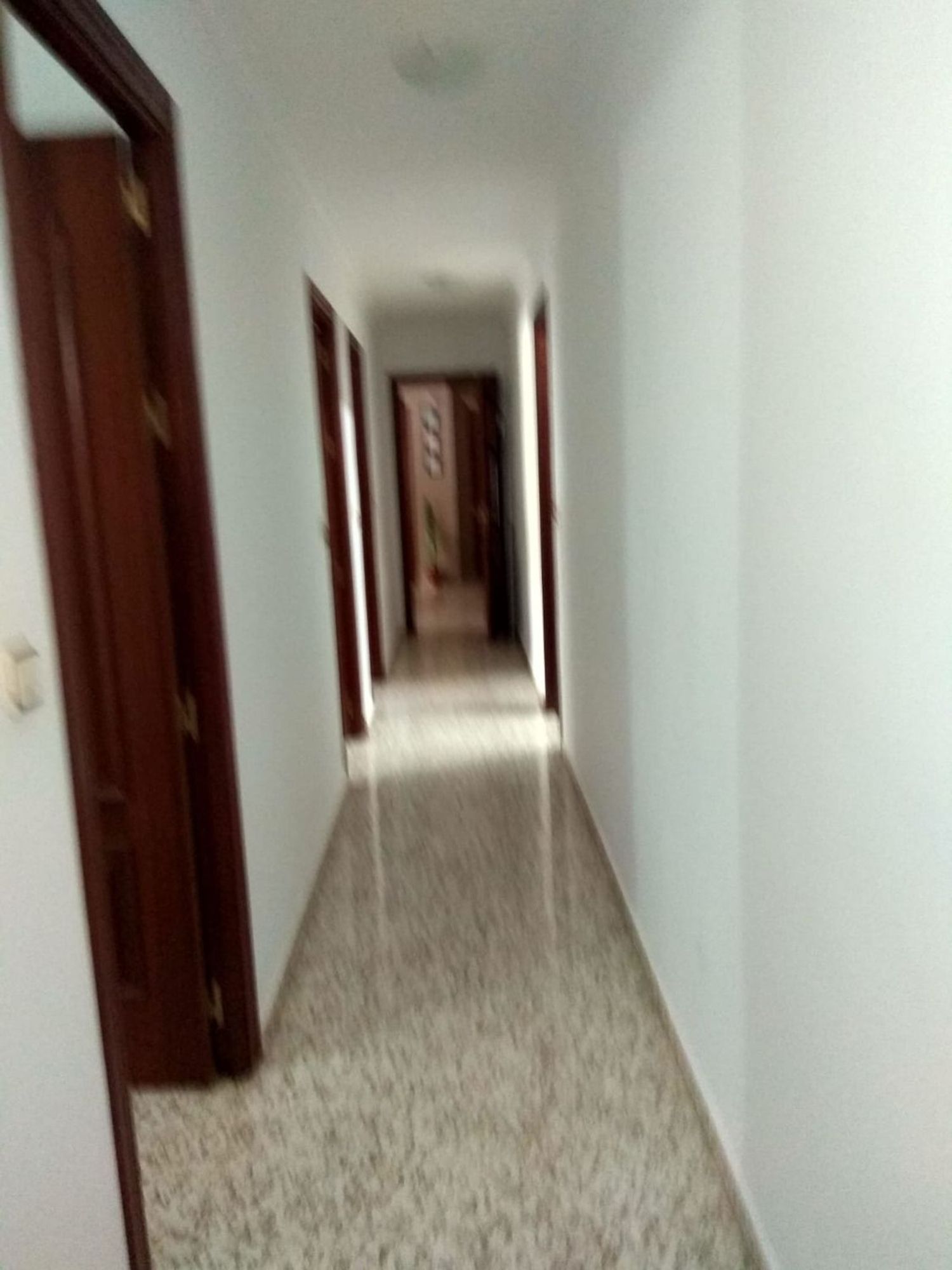 Piso en Avenida la Constitución, 2 - Foto 4