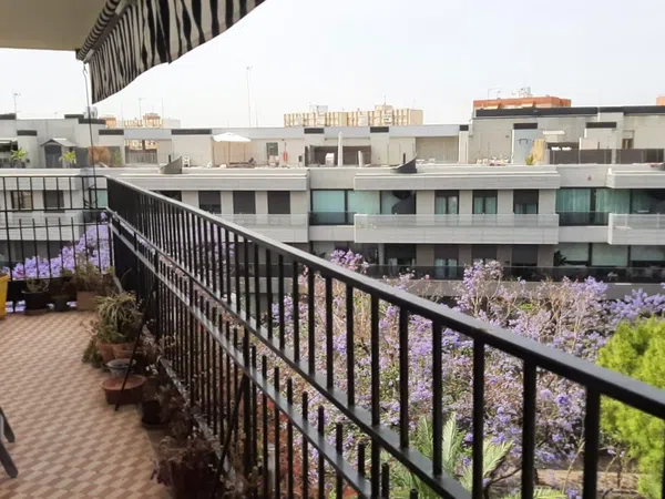 Piso en plaza Pintor Amalio García del Moral, 9 - Foto 1