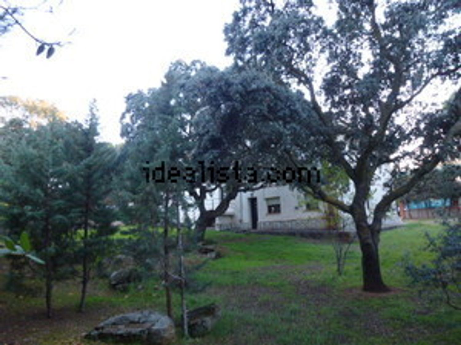 Casa o chalet independiente en Calle Eucaliptos, 7 - Foto 3