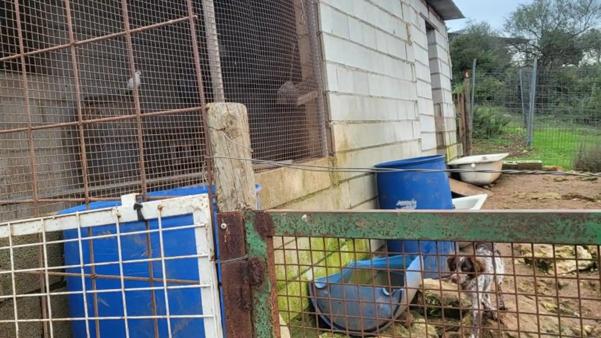 Finca rústica en  Calle Héctor Villa-Lobos 5 - Foto 2