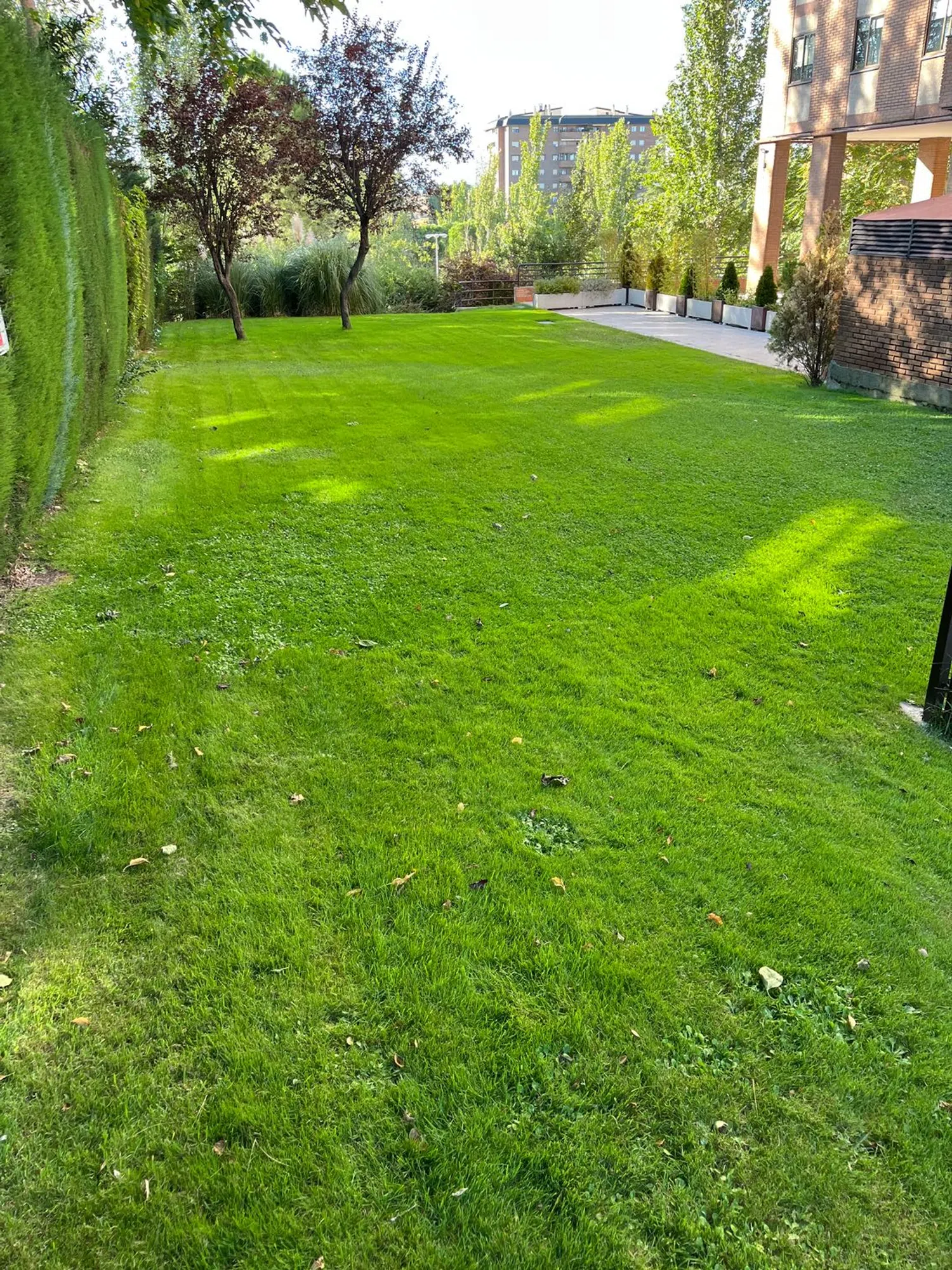 Piso en calle Alejandro Casona, 7 - Foto 21