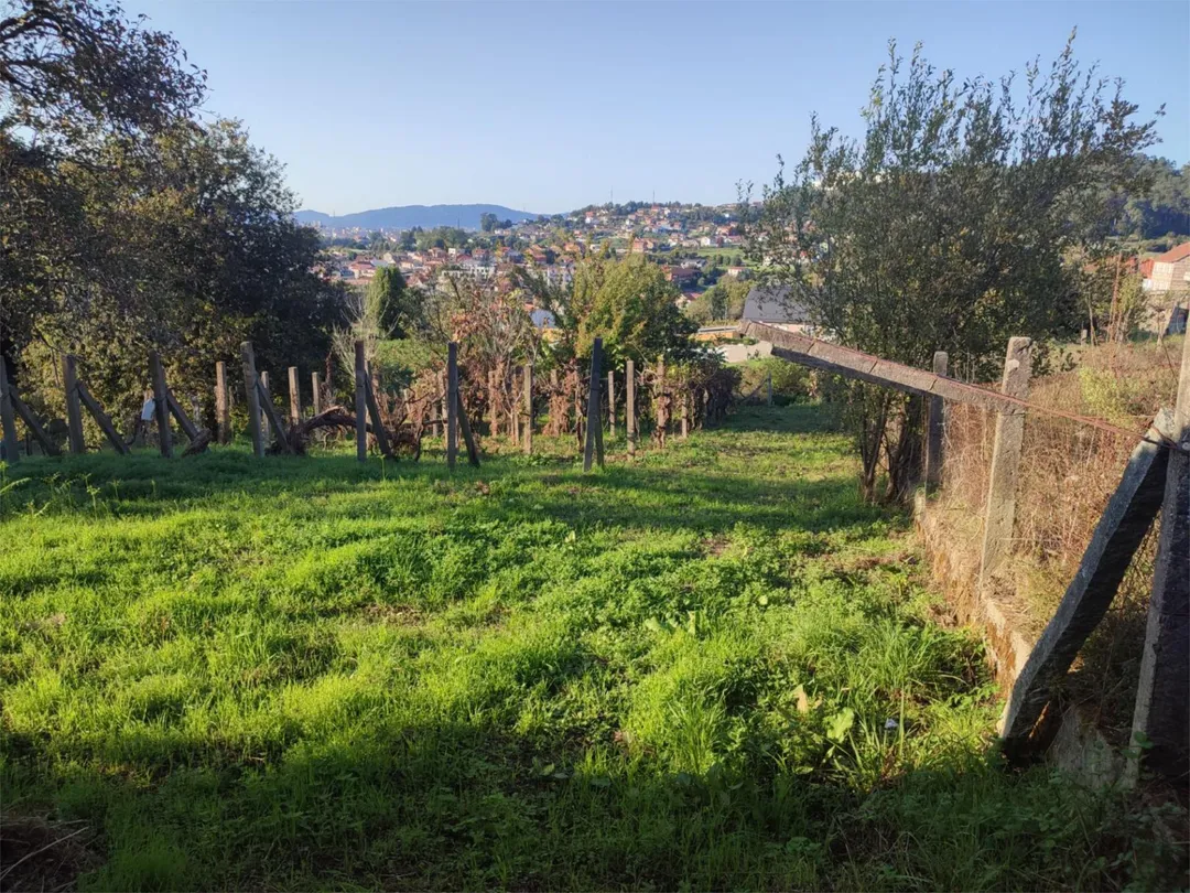 Piso en  Camino Devesa 1 - Foto 8