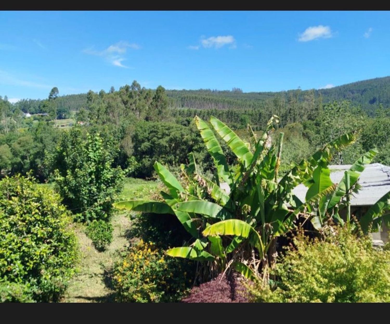 Finca rústica en A felgueira s/n - Foto 4