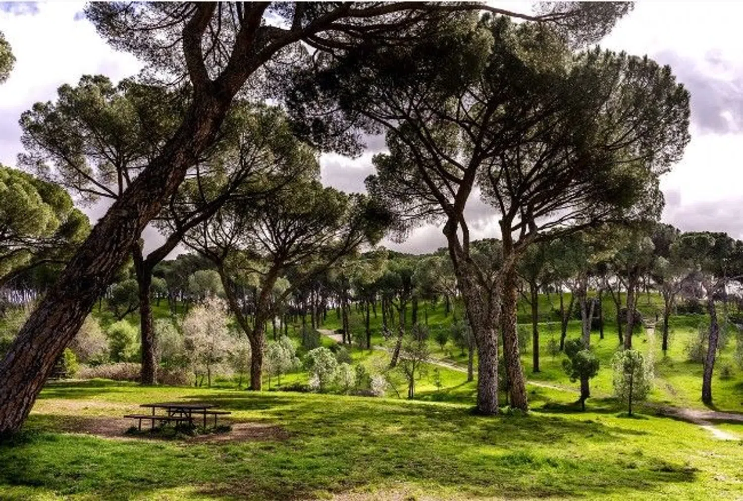 Estudio en calle de Sánchez Preciado, 44 - Foto 12