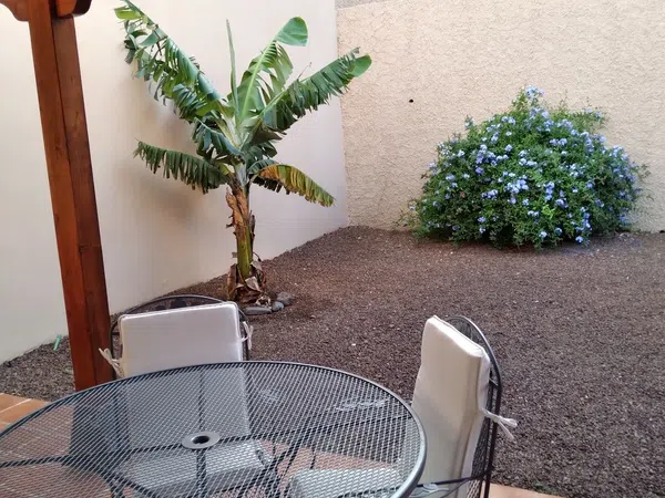 Chalet pareado en Calle los Naranjos, 37, Barranco Hondo, Barranco Hondo - Foto 5